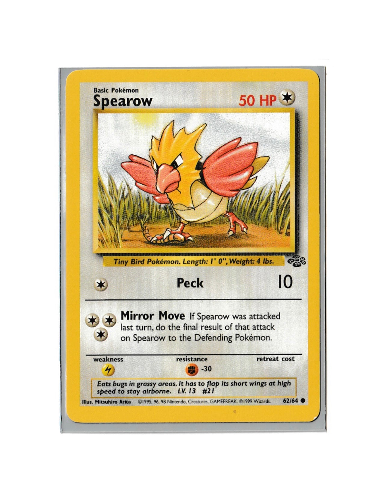 Spearow | Jungle