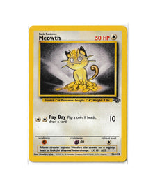 Meowth | Jungle