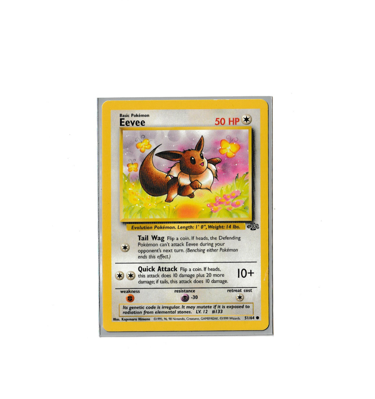 Evee | Pokémon Jungle