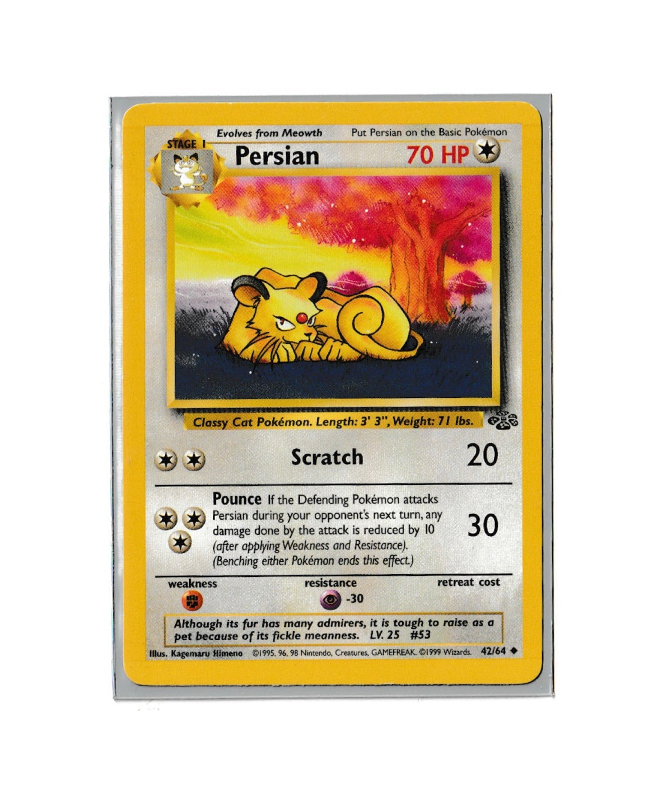 Persian | Jungle